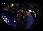 Hemlock - Live Photo